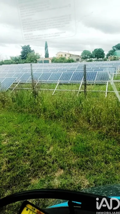 Terreno in Scansano