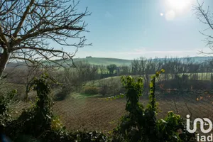 Terreno agricolo in Filottrano