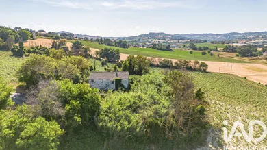 Rustico in Osimo