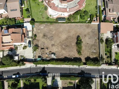 Land in Anzio