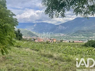 Terreno agricolo in Villa Lagarina