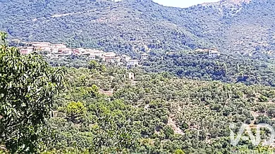 Terreno in Vendone