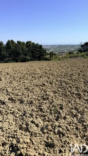 Building plot in Montegranaro