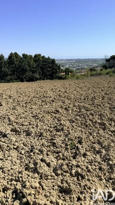 Terreno edificabile in Montegranaro