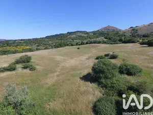 Terreno agricolo in Roccalbegna
