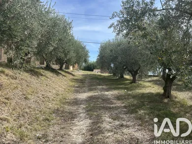 Rustico in Potenza Picena