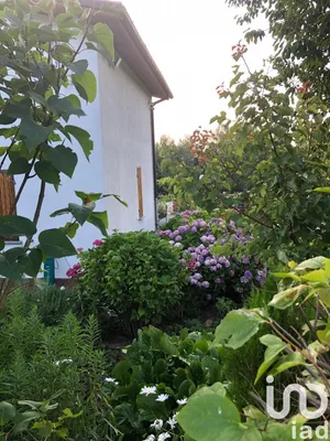 Chiatta / Casa galleggiante in Priero