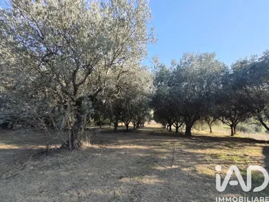 Terreno in Colonnella