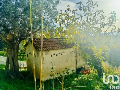 House in Corropoli
