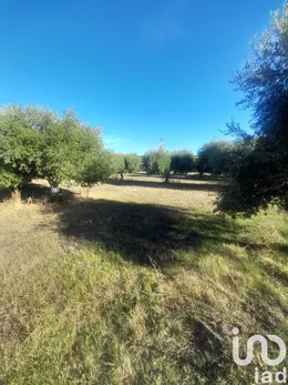 Terreno in Castellalto