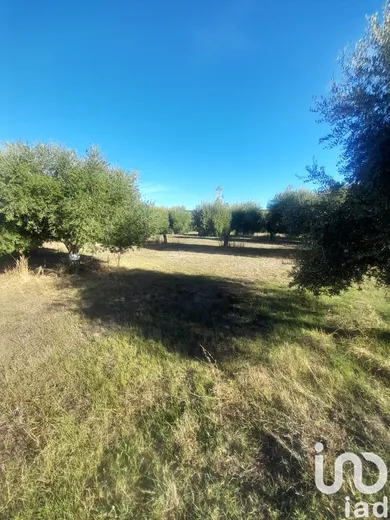Terreno in Castellalto