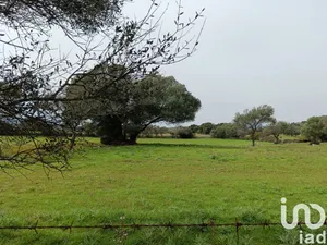 Terreno in Telti