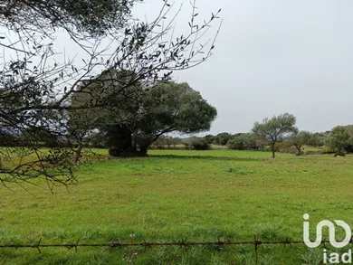 Land in Telti