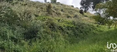 Terreno in Amantea