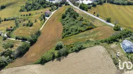 Land in Filottrano