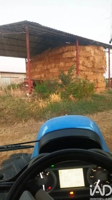 Terreno in Scansano