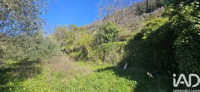 House in Pieve di Teco