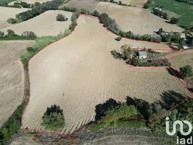 Terreno in Morrovalle