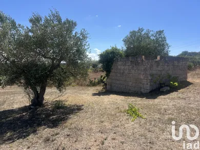 Rustico in Cisternino