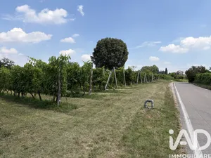 Terreno agricolo in Valeggio sul Mincio