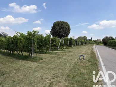 Terreno agricolo in Valeggio sul Mincio