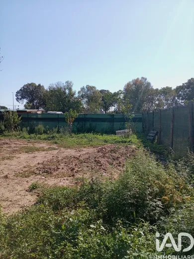 Farm land in Scandicci