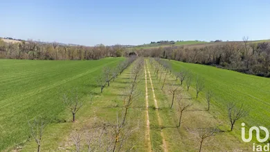 Terreno agricolo in Filottrano
