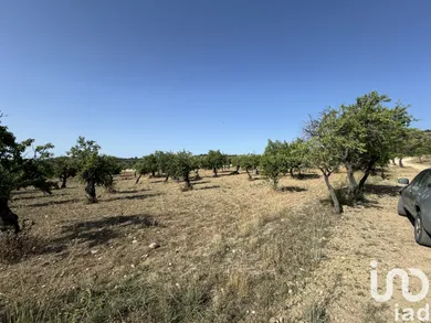 Land in Avola