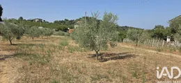 Casa/Villa in Ripatransone