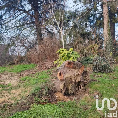 Rustico in Grisignano di Zocco
