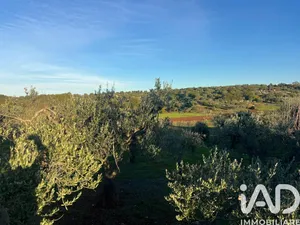 Terreno agricolo in Ostuni