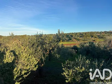 Terreno agricolo in Ostuni