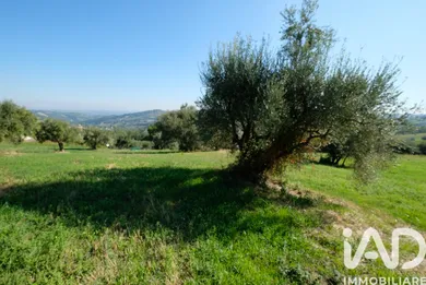 Terreno agricolo in Cupramontana