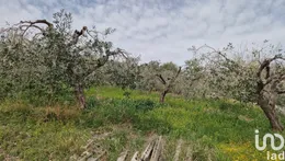 Terreno in Teramo
