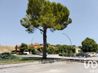 Shop/Premises commercial in Monte Porzio