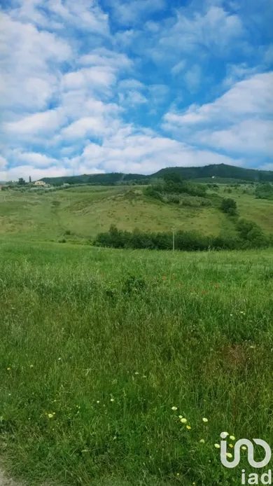 Land in Scansano