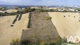 Terreno agricolo in Filottrano