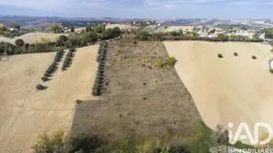 Terreno agricolo in Filottrano