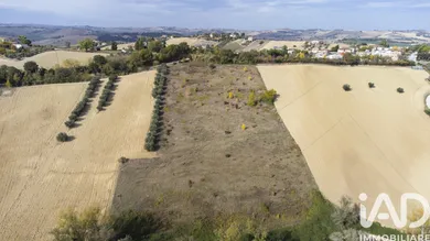 Terreno agricolo in Filottrano