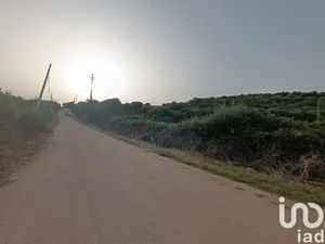 Terreno in Olbia
