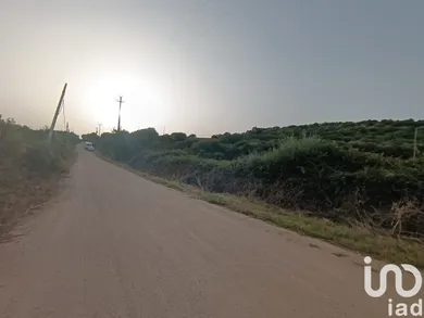 Terreno in Olbia