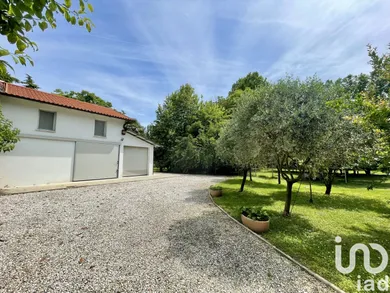 Terreno agricolo in Chiarano